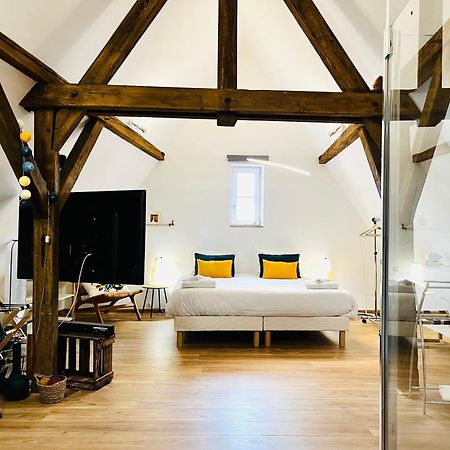 Апартаменти Le Loft Кольмар Екстер'єр фото
