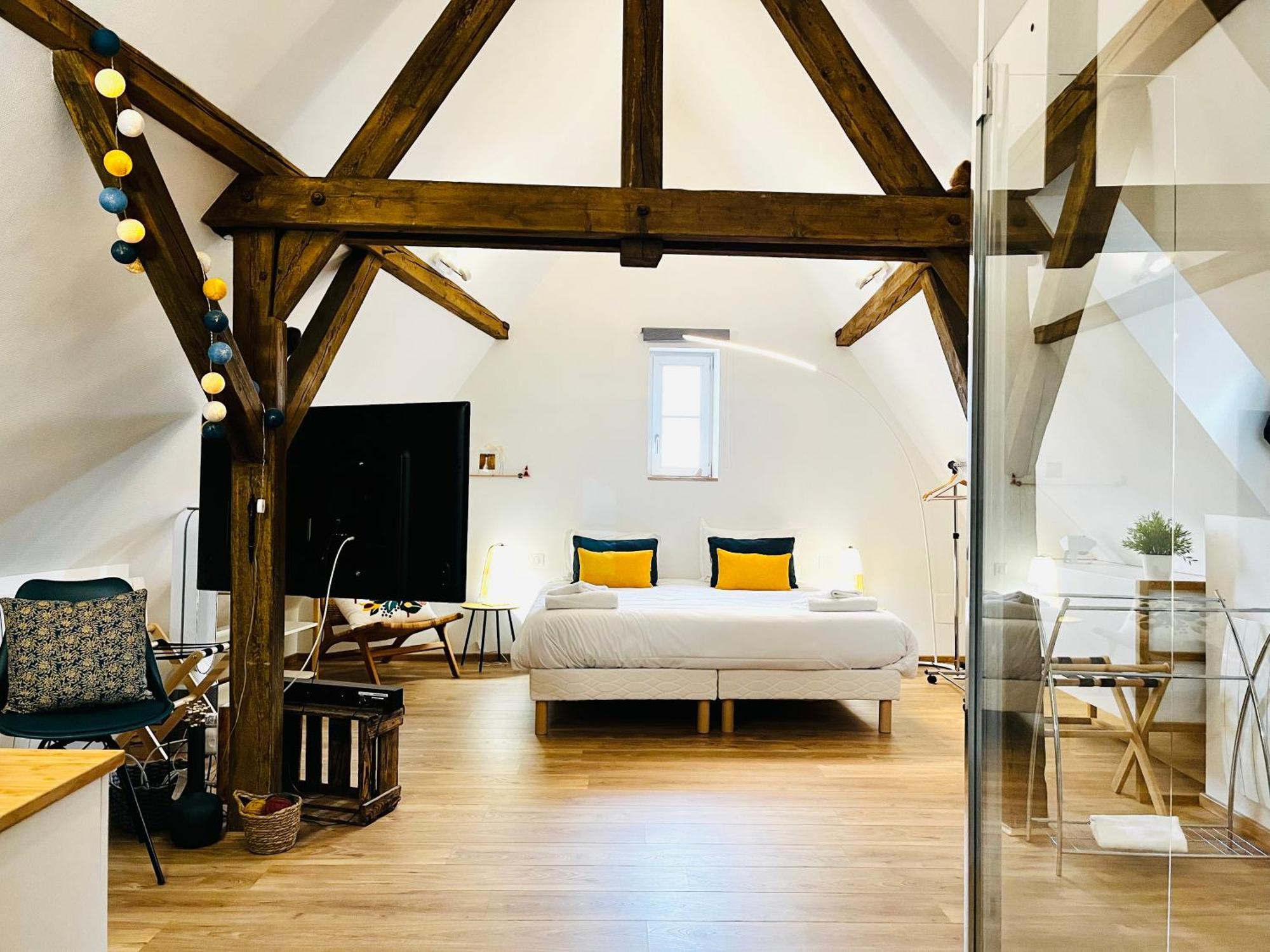 Апартаменти Le Loft Кольмар Екстер'єр фото