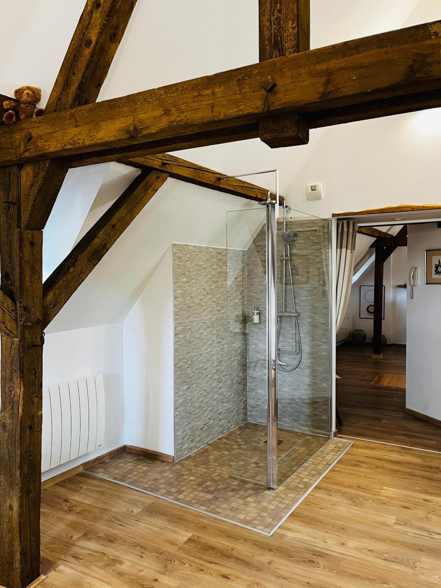 Апартаменти Le Loft Кольмар Екстер'єр фото